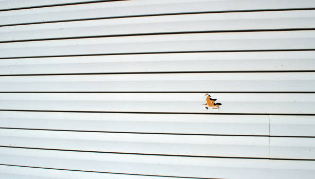 Best Brick Veneer Siding  in Coldstream, OH